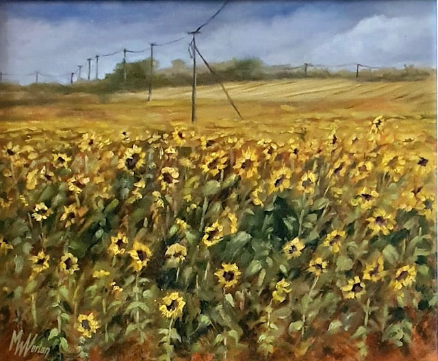 Sunflower Field