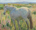Connemara Against The Burren by Kevin McNamara