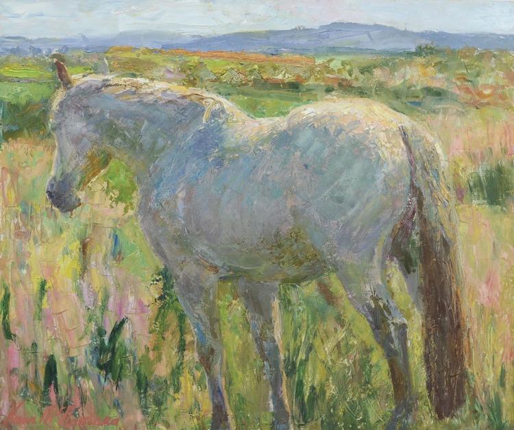 Connemara Against The Burren