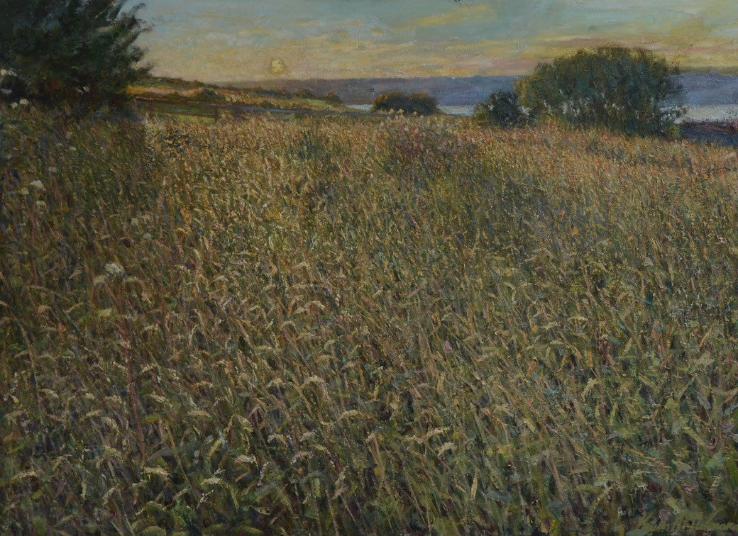 Atlantic Meadow by Kevin McNamara