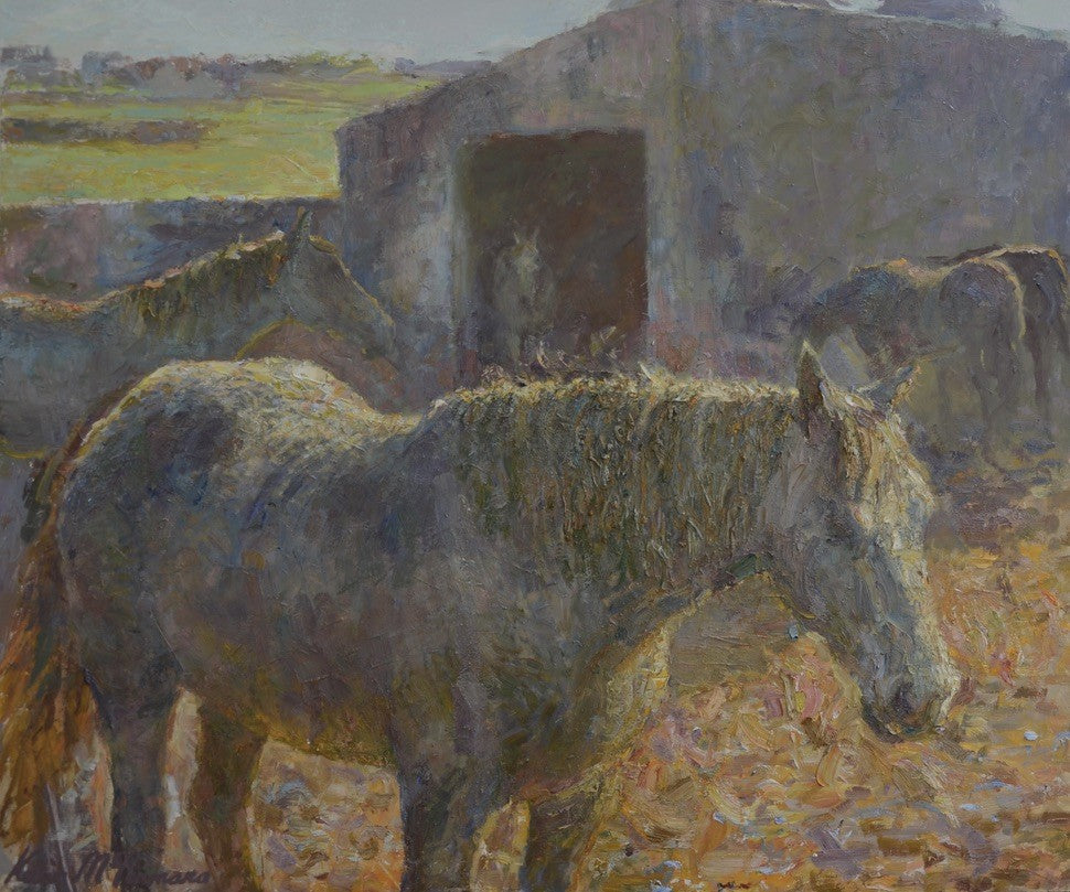 Winter Paddock by Kevin McNamara