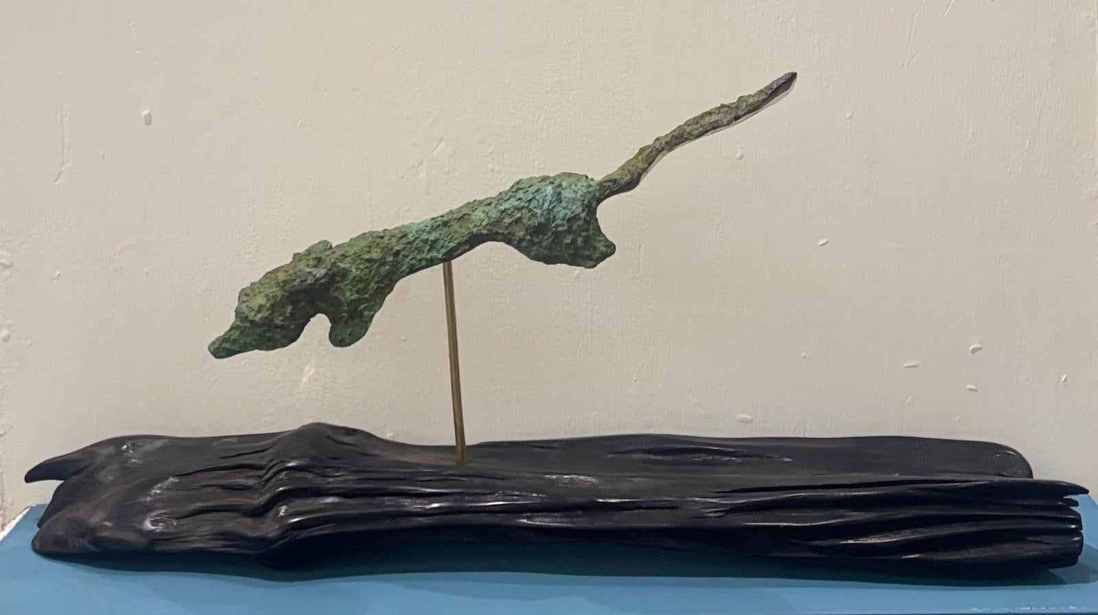 Flying Fox by Ani Mollereau