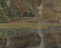 Pond at Phoenix Park by Kevin McNamara