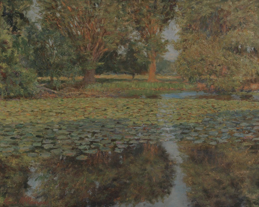 Pond at Phoenix Park by Kevin McNamara