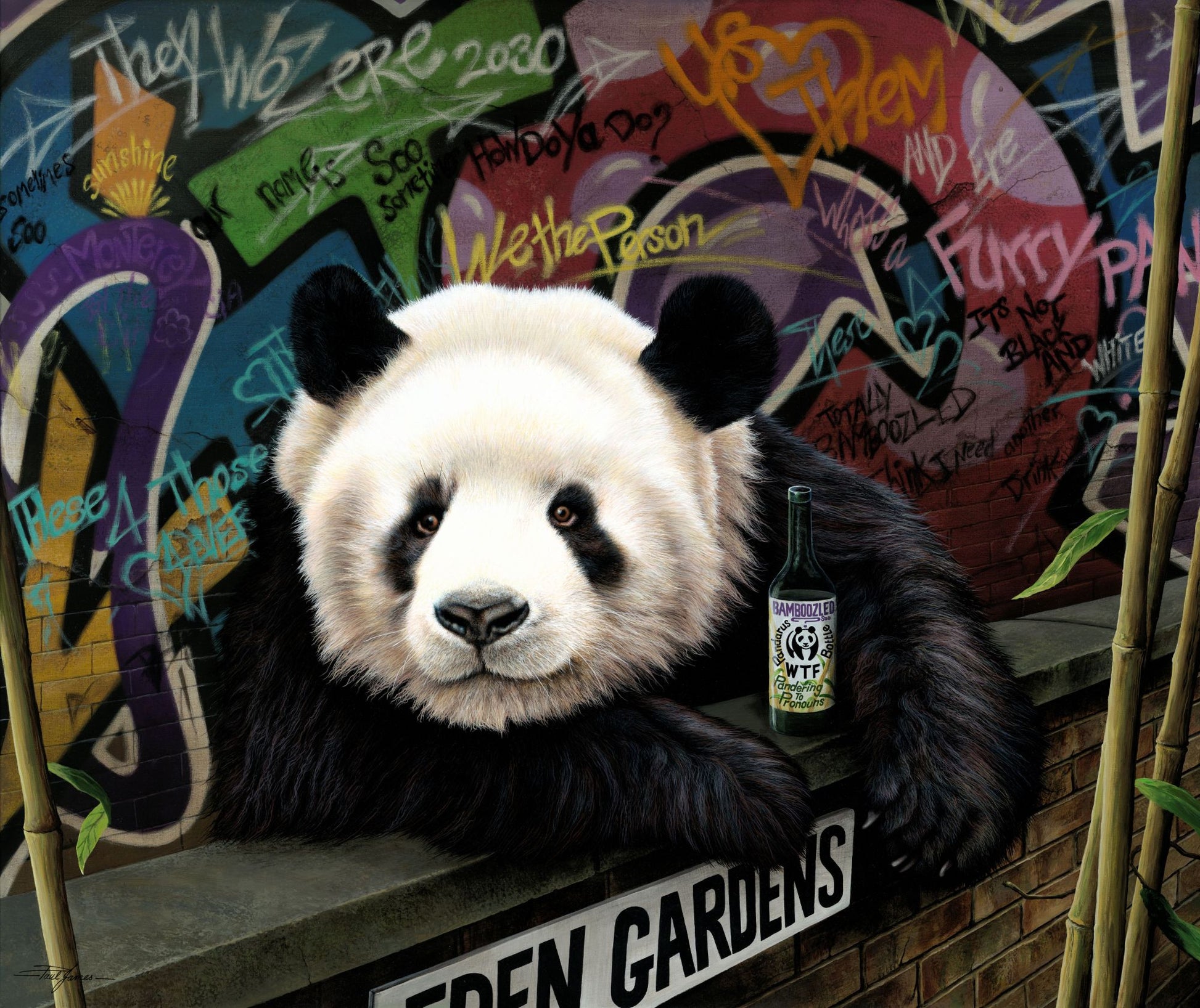 Bamboozled by Paul James