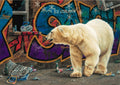 Chillin by Paul James | Print