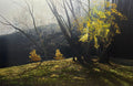 Depths Of Autumn by Paul James