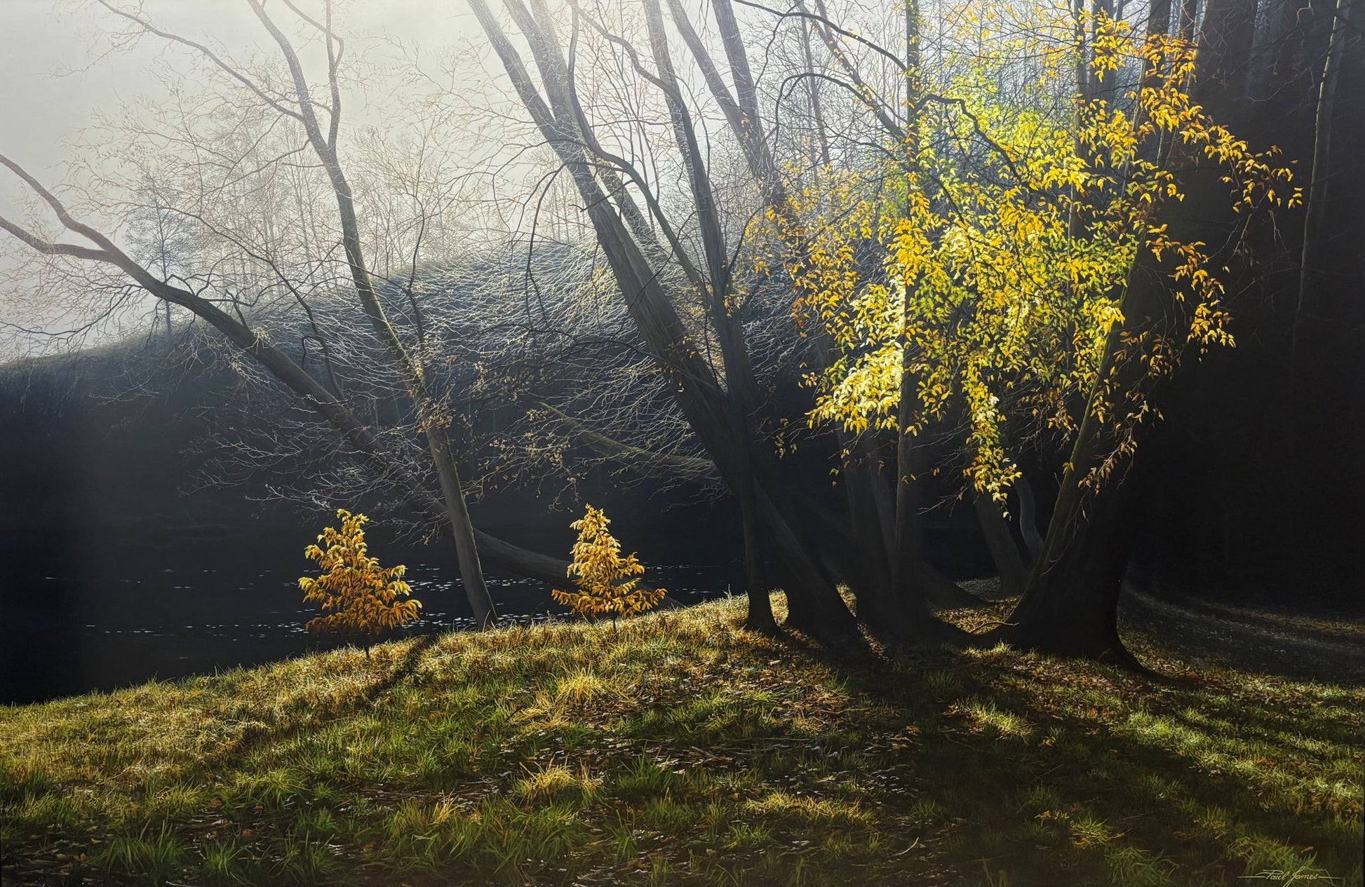 Depths Of Autumn by Paul James