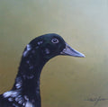 Ebony by Paul James