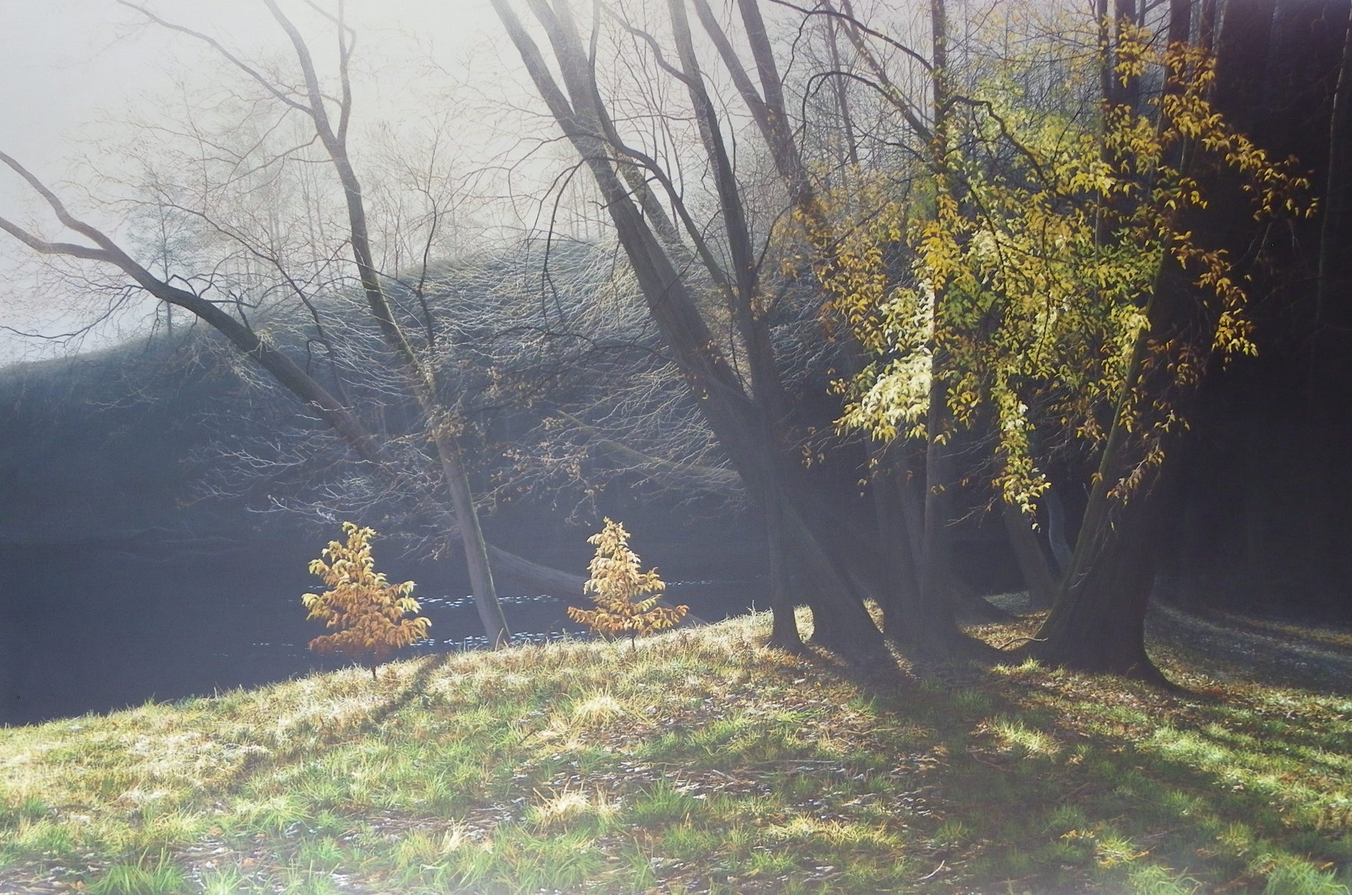 Depths Of Autumn by Paul James