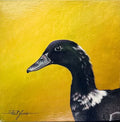 Jet by Paul James