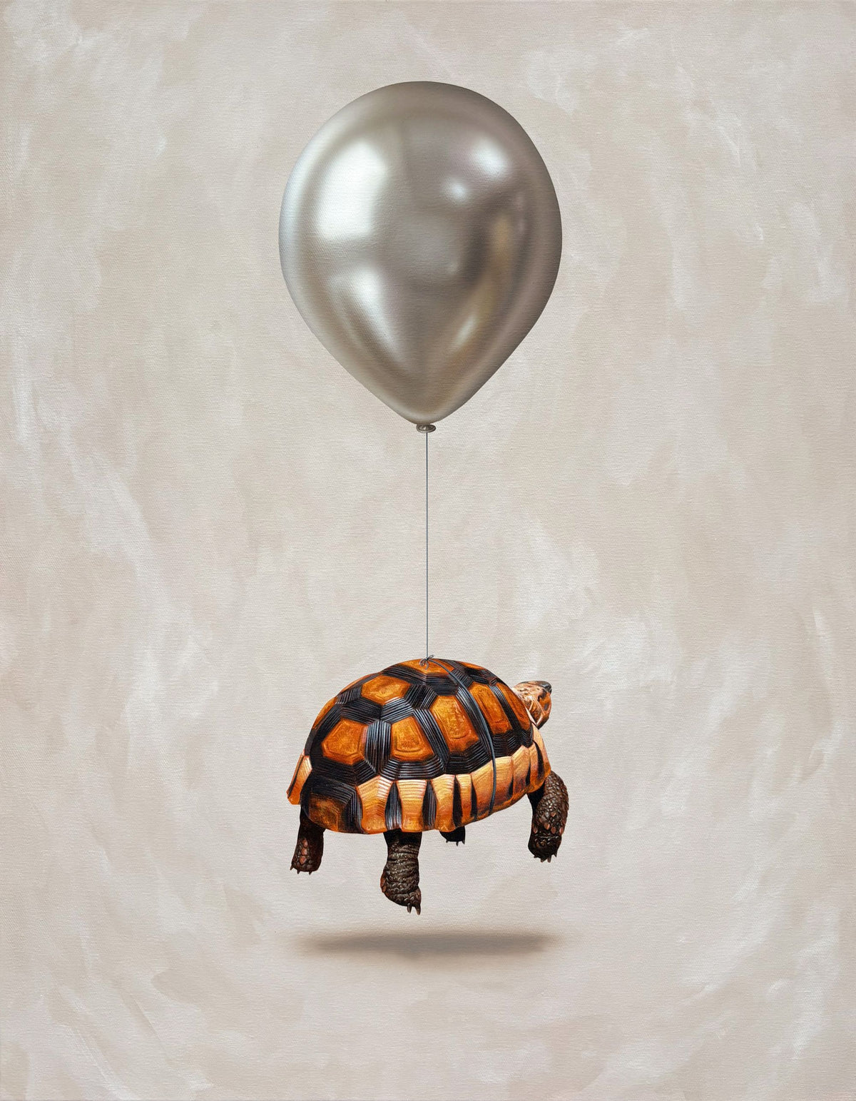 Lead Balloon by Joshua Daniels