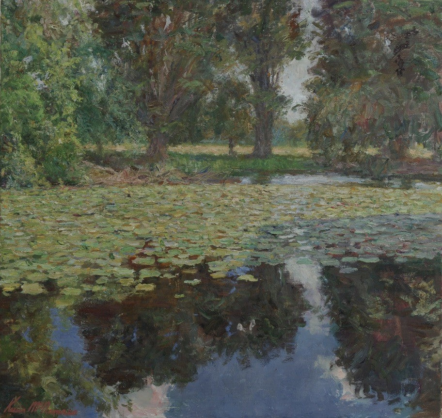 Lily Pond at Phoenix Park by Kevin McNamara