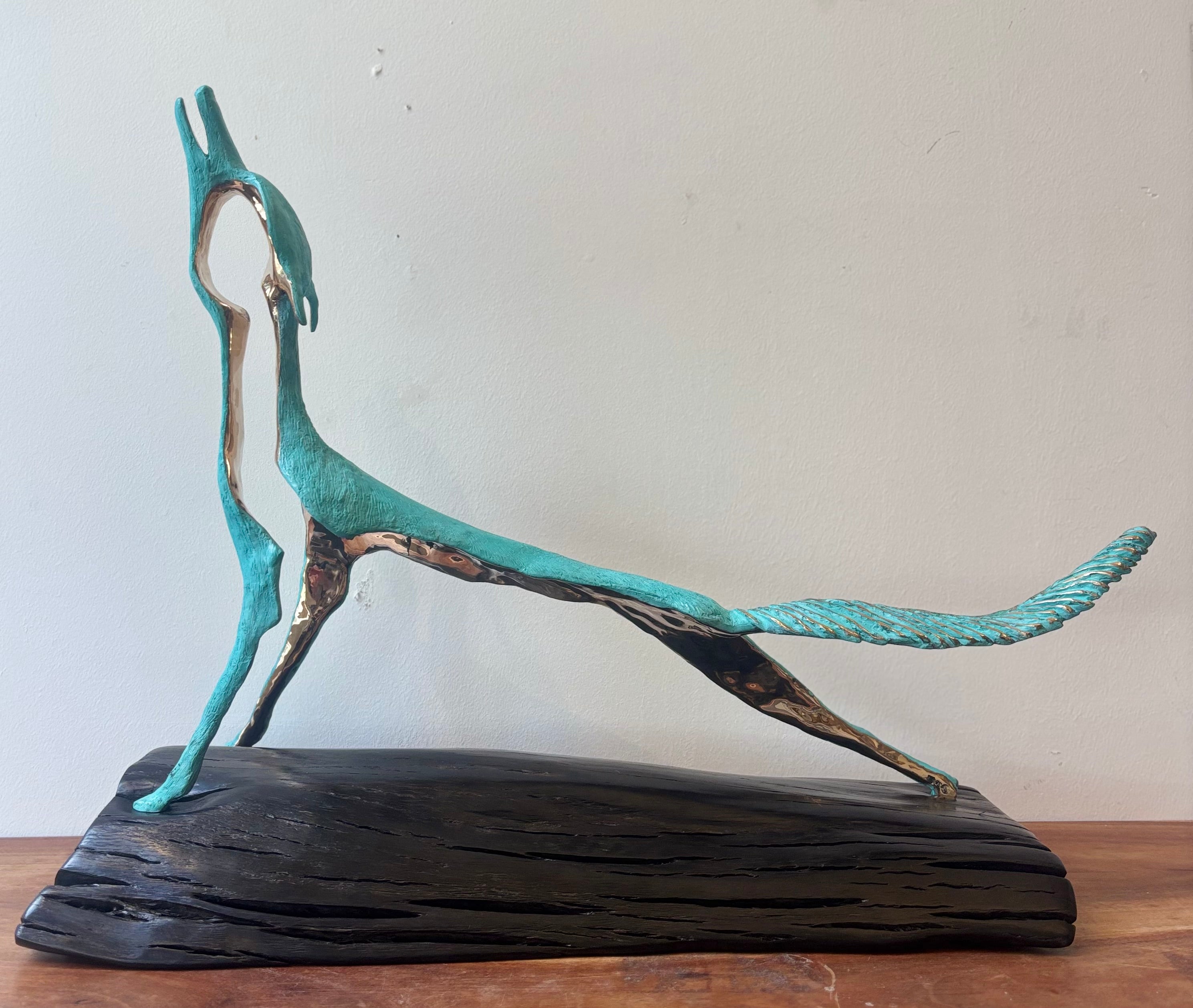 Midnight Call by Ani Mollereau