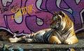 Pussy by Paul James