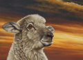 Hope by Paul James | Print