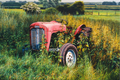 Out To Grass by Paul James | Print