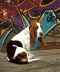 Dog End Street by Paul James | Print