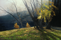 Depths Of Autumn by Paul James | Print