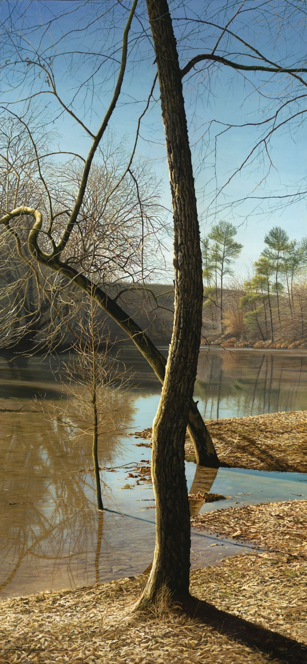 Shallows and Shadows by Paul James