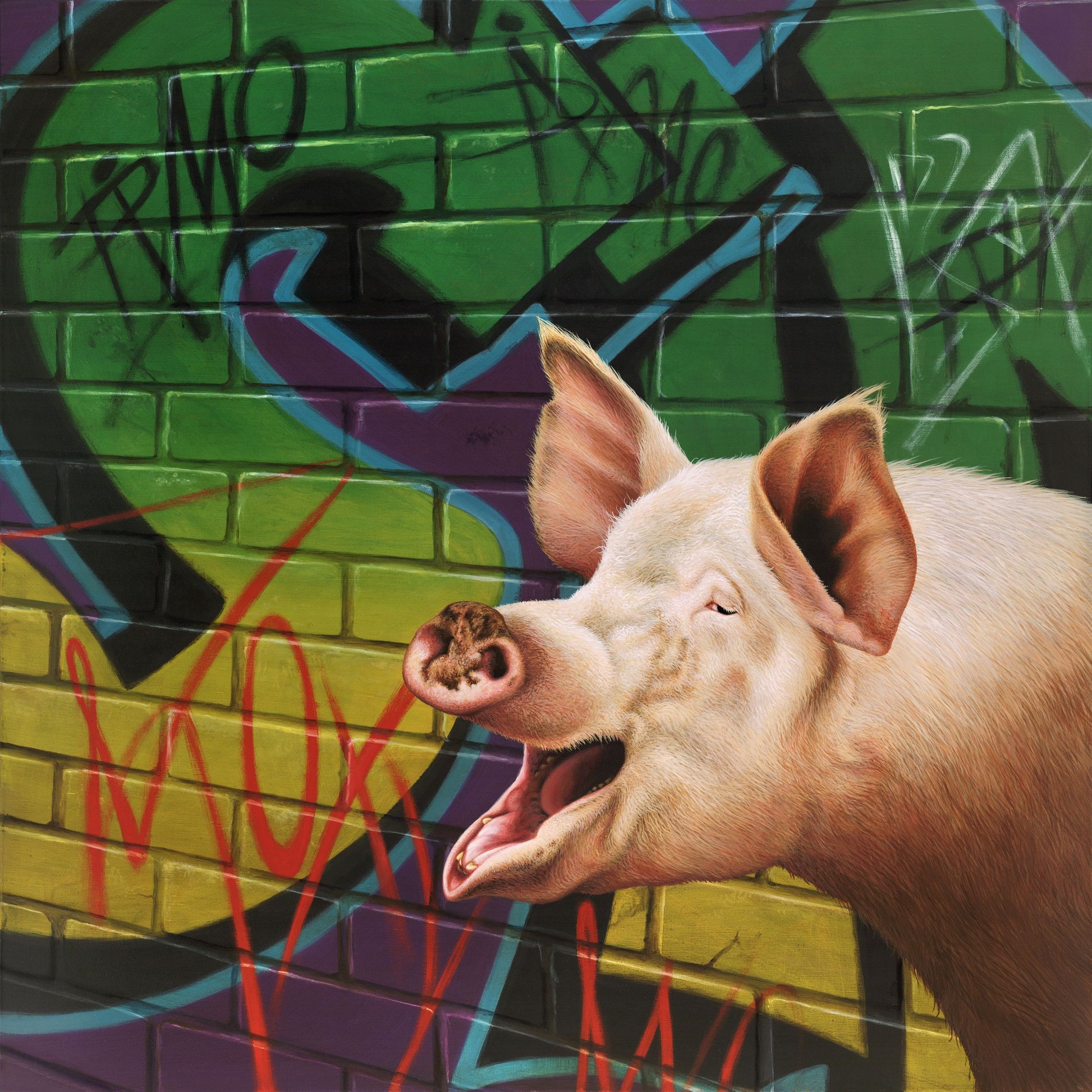 Sow Sister by Paul James