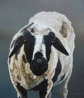 Sven by Paul James