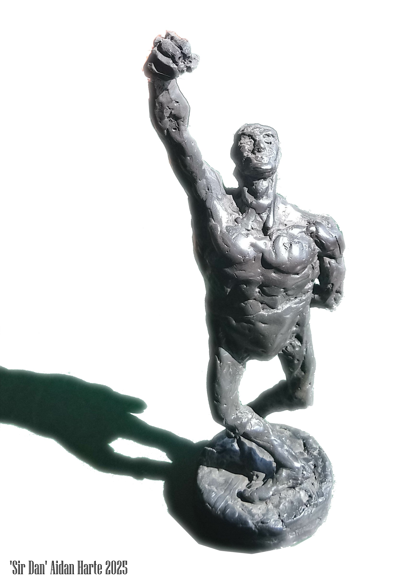 The Boxer by Aidan Harte