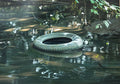 Tread in the Water by Paul James