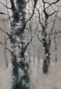 Winter Trees by Paul Kerr
