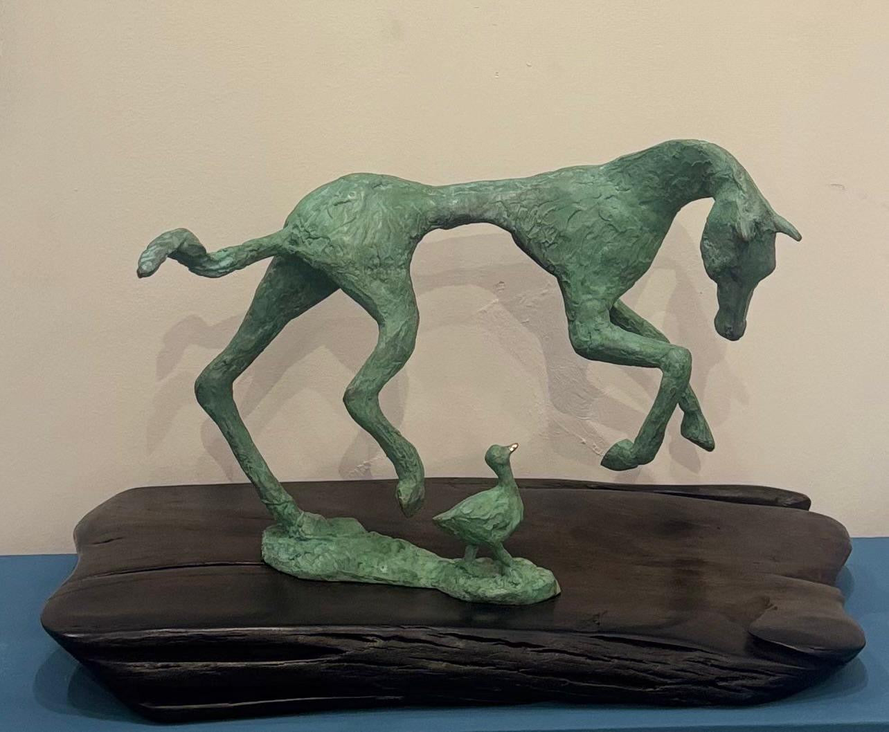 Quack by Ani Mollereau