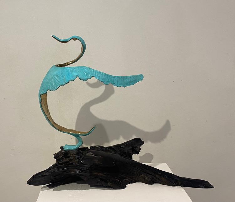 Duck by Ani Mollereau