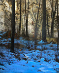 Final Glimmers by Paul James