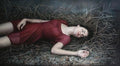 Dormit, She sleeps Francis O'Toole