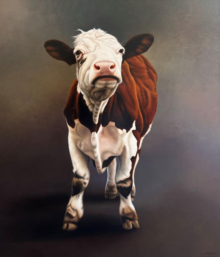 Hereford Cow by Paul James