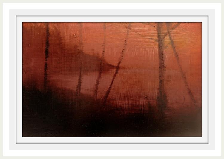 Lough Gill Study