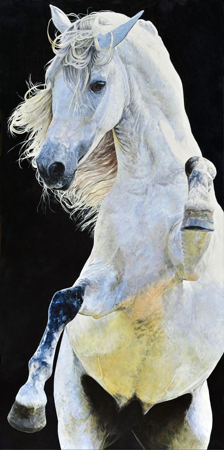 Lusitano Horse