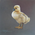 Poppet by Paul James