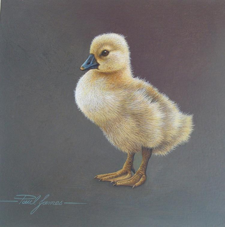 Poppet by Paul James