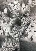 Resurrection Of The Road Kill by Paul Kerr